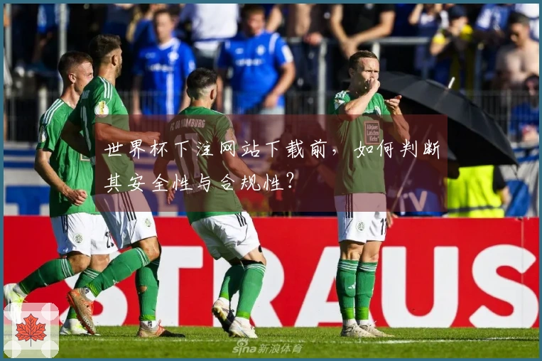 世界杯下注网站下载前，如何判断其安全性与合规性？