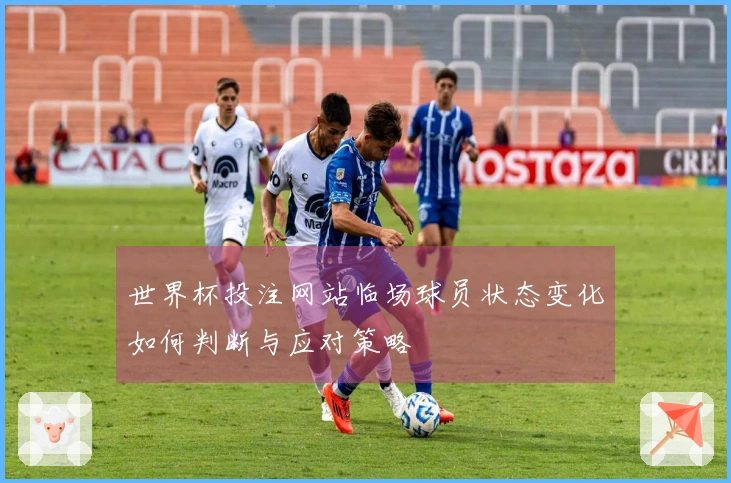 世界杯投注网站临场球员状态变化如何判断与应对策略