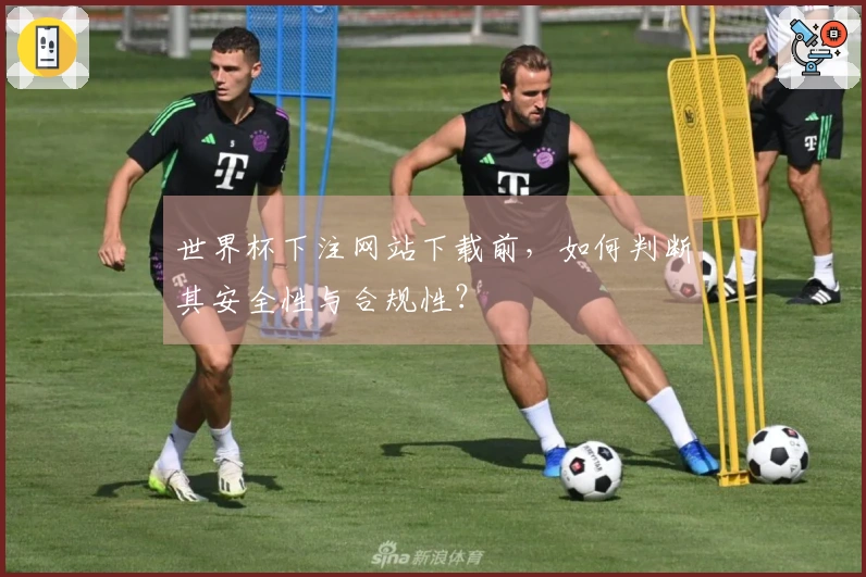 世界杯下注网站下载前，如何判断其安全性与合规性？
